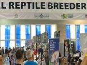 2025年美国国家爬行宠物展览会 | National Reptile Breeders Expo